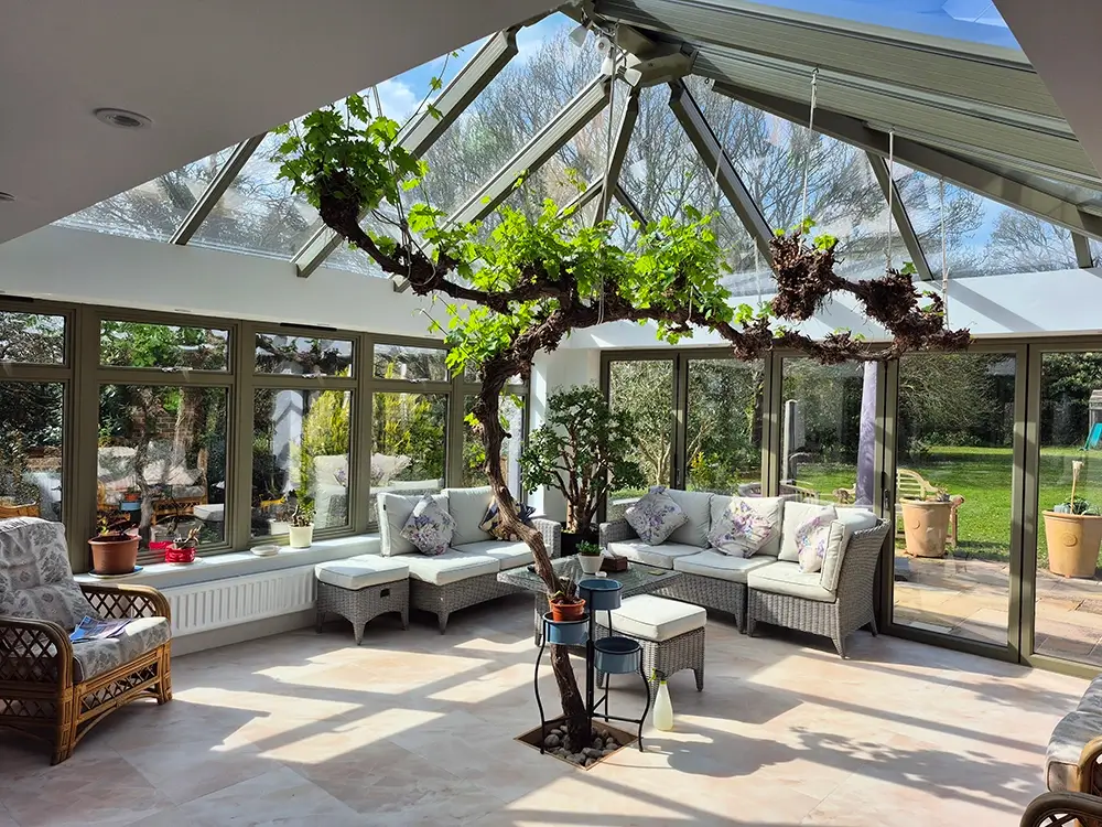 The green room: how planting can bring new life to your conservatory