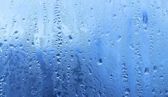 How to prevent window condensation: seasonal maintenance and sensible upgrades
