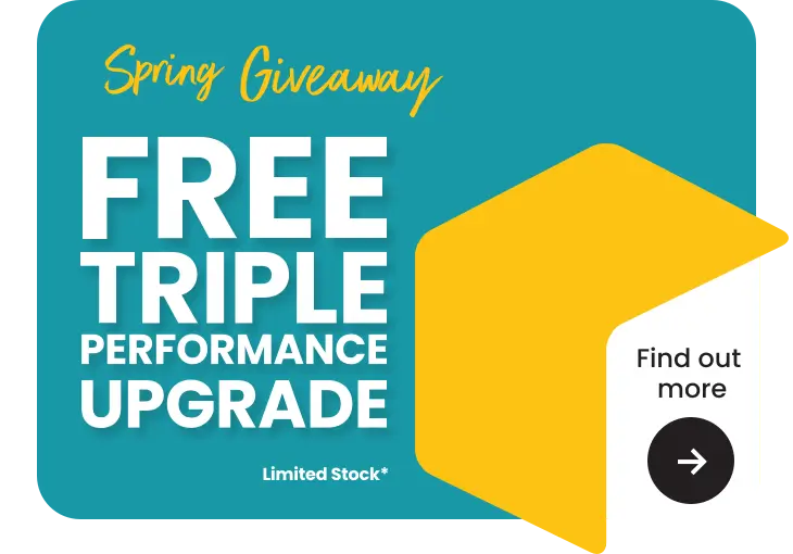 Spring offers graphic