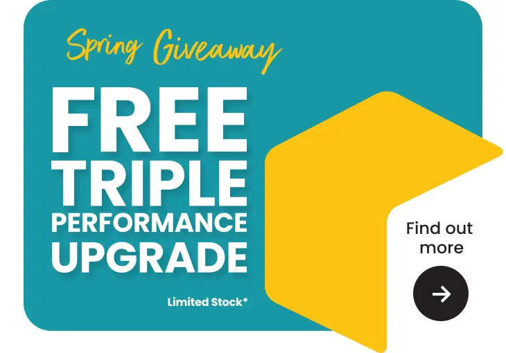 Spring Offer Graphic