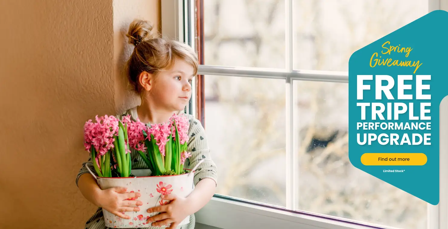 Spring Offer Graphic